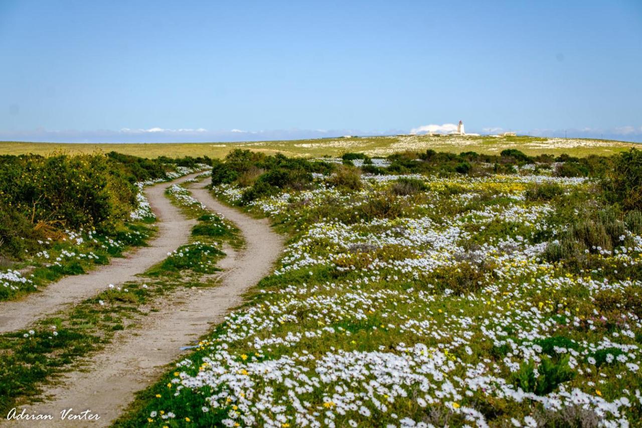 Flamink Beach View Cottage In Paternoster Exterior photo